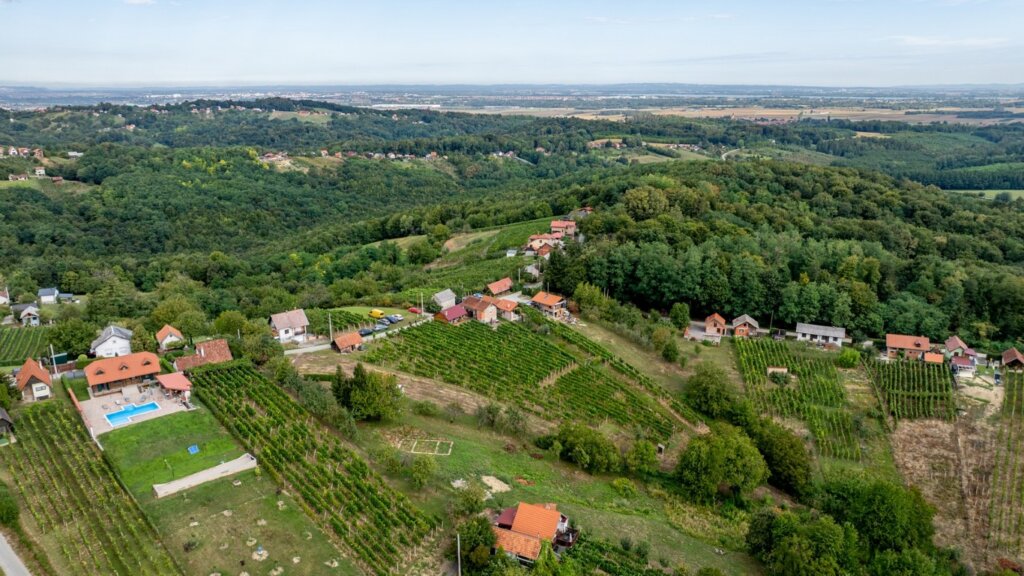 Zupanijska berba 7 Medium