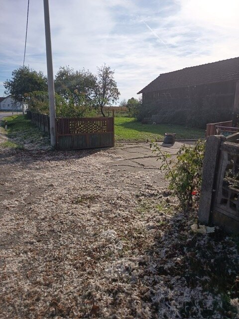 Image3