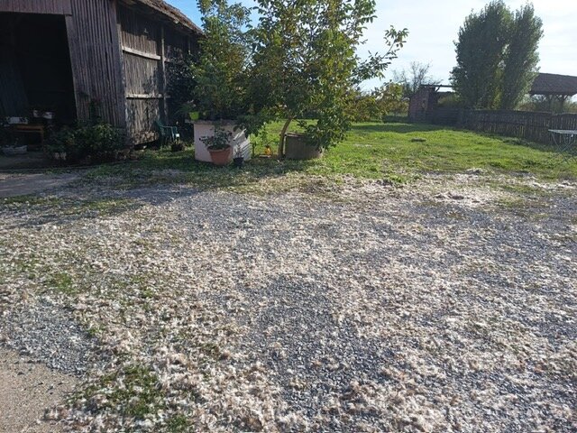 Image6